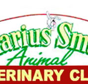 Marius Small Animal Veterinary Clinic - VETS Brisbane