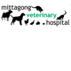 Mittagong Veterinary Hospital - VETS Brisbane