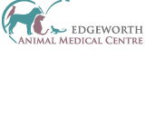 Edgeworth Animal Medical Centre - VETS Brisbane