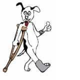 Richmond Veterinary Hospital - VETS Brisbane 0