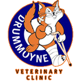Drummoyne Veterinary Clinic - VETS Brisbane 0