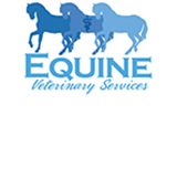Dr Ed's Equine Veterinary Services - thumb 0
