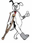 Wilberforce Veterinary Hospital - VETS Brisbane