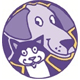 Canobolas Family Pet Hospital - VETS Brisbane