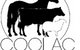 Coolac Veterinary Services - thumb 0