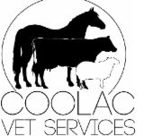 Coolac Veterinary Services - VETS Brisbane
