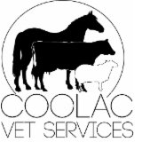 Coolac Veterinary Services - VETS Brisbane 0