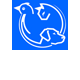 Croydon Park Veterinary Clinic  Boarding Cattery - VETS Brisbane