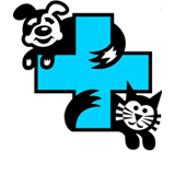 Berry Street Veterinary Hospital - VETS Brisbane 0