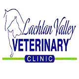 Lachlan Valley Veterinary Clinic - VETS Brisbane