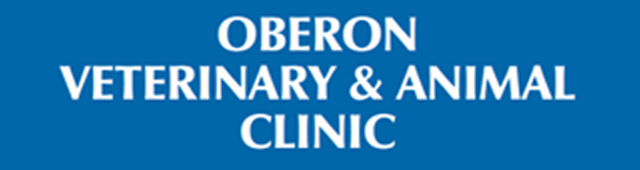 Chatham Valley NSW VETS Brisbane