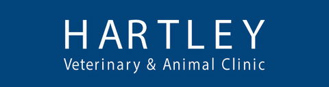 Hartley Veterinary Clinic And Animal Centre - VETS Brisbane 0