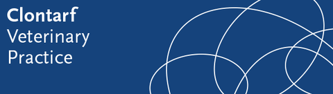 Clontarf Veterinary Practice - VETS Brisbane 0
