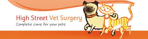 High Street Vet Surgery - VETS Brisbane 0