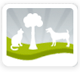 Acacia Animal Care Holistic Vet Herbal Medicine Acupuncture Reiki Homeopathy Structural Balancing Nutrition - VETS Brisbane