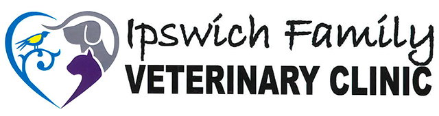 Ipswich QLD VETS Brisbane