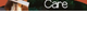 Companion Care Veterinary Surgery - Ormeau - thumb 0