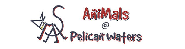 Pelican Waters QLD VETS Brisbane