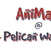 AniMals  Pelican Waters - VETS Brisbane