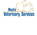 MontoVet Surgery - VETS Brisbane