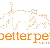 Better Pet Vets Northern Beaches - VETS Brisbane