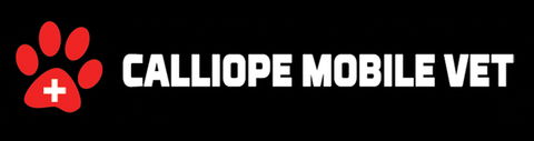 Calliope Mobile Vet - VETS Brisbane 0