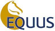 Equus Muscle Management - VETS Brisbane 0