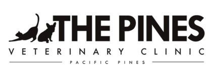 Pacific Pines Vet - VETS Brisbane 0