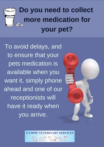 Gympie Veterinary Services - VETS Brisbane 0