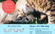 Gympie Veterinary Services - thumb 3