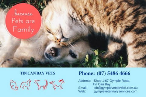 Gympie Veterinary Services - VETS Brisbane 3