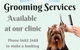 Gympie Veterinary Services - thumb 4