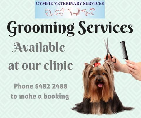 Gympie Veterinary Services - VETS Brisbane 4