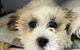 Taree Veterinary Hospital - thumb 3