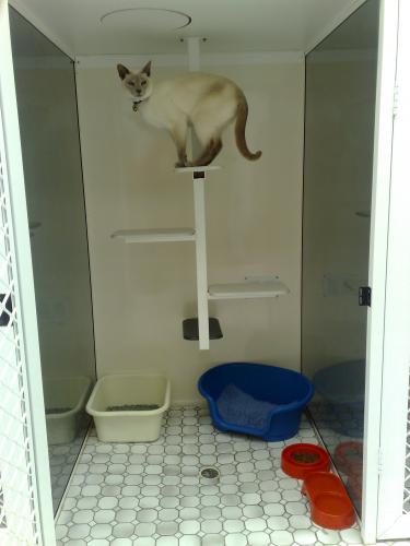 Rathmines Veterinary Hospital - VETS Brisbane 3
