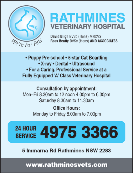 Rathmines Veterinary Hospital - VETS Brisbane 4
