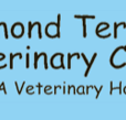 Raymond Terrace Veterinary Clinic - VETS Brisbane