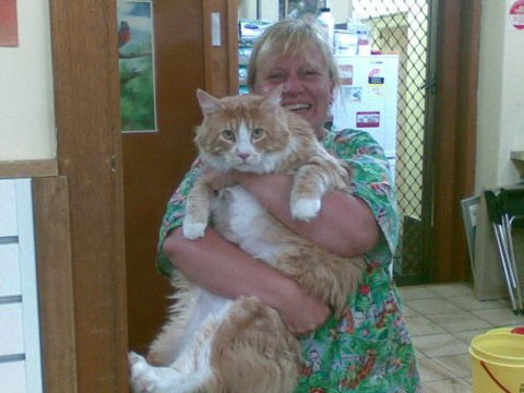 Raymond Terrace Veterinary Clinic - VETS Brisbane 2