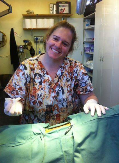 Raymond Terrace Veterinary Clinic - VETS Brisbane 4