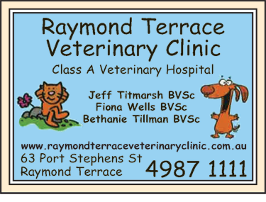 Raymond Terrace Veterinary Clinic - VETS Brisbane 6