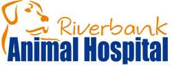 Riverbank Animal Hospital - VETS Brisbane 0