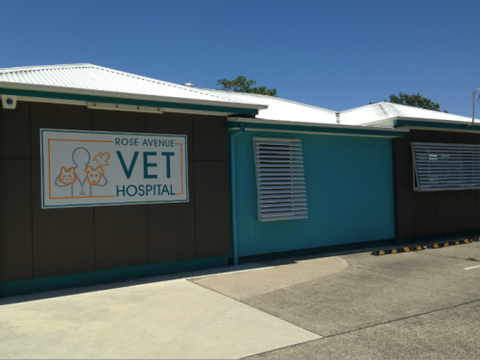 Rose Avenue Veterinary Hospital - VETS Brisbane 1