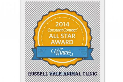 Russell Vale Animal Clinic - VETS Brisbane 4