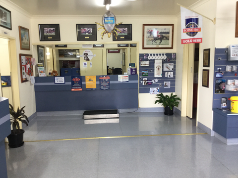 SBVets - VETS Brisbane 3