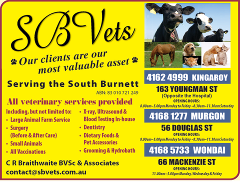SBVets - VETS Brisbane 4