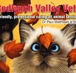 Sergeev Liza Vet Chiropractor - VETS Brisbane