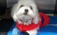 Shaws Veterinary Hospital - thumb 1