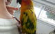 Shaws Veterinary Hospital - thumb 3