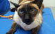 Shaws Veterinary Hospital - thumb 4