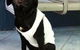 Shaws Veterinary Hospital - thumb 5